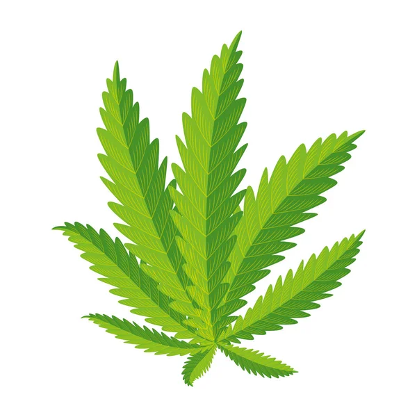 大麻植物の葉の自然のアイコン — ストックベクタ