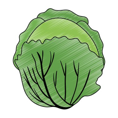 taze lahana vejetaryen yemek