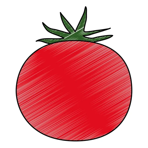 Taze domates vejetaryen gıda — Stok Vektör