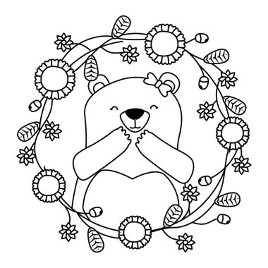 sevimli ayı çiçekleri