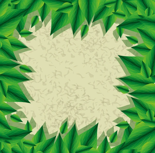 Экологические листья растительный каркас — стоковый вектор