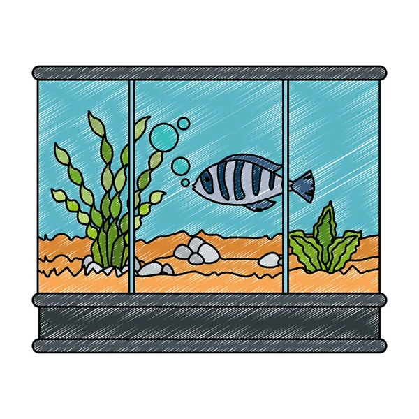 Fyrkantig akvarium med färger fisk — Stock vektor