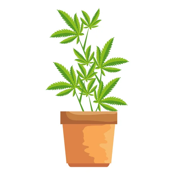 ポットアイコンで大麻植物 — ストックベクタ