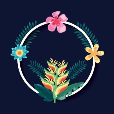 tropikal yaprakları koyu arka plan