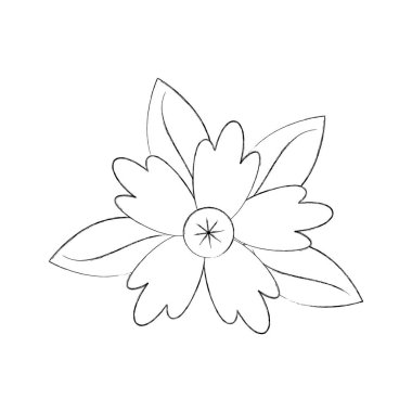 doğal süs bitkisi çiçek petal yaprak kök