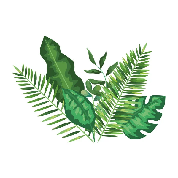 Экзотические и тропические листья с отделкой веток — стоковый вектор