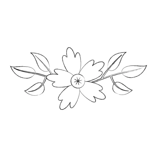 Flor de astro pétalo natural hojas decoración — Vector de stock