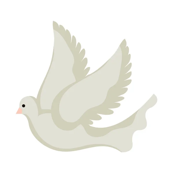 Hermoso pájaro paloma vuelo icono — Vector de stock