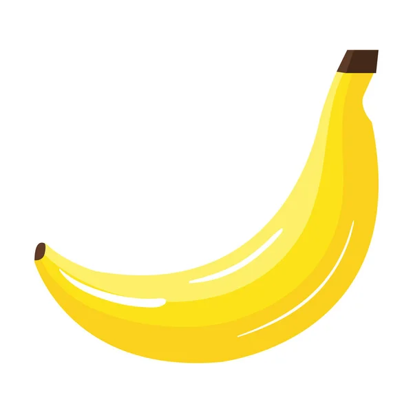 바나나 신선한 과일 건강 식품 — 스톡 벡터