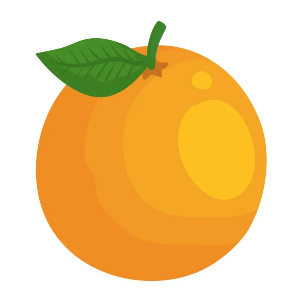 Naranja cítricos fresco icono — Vector de stock