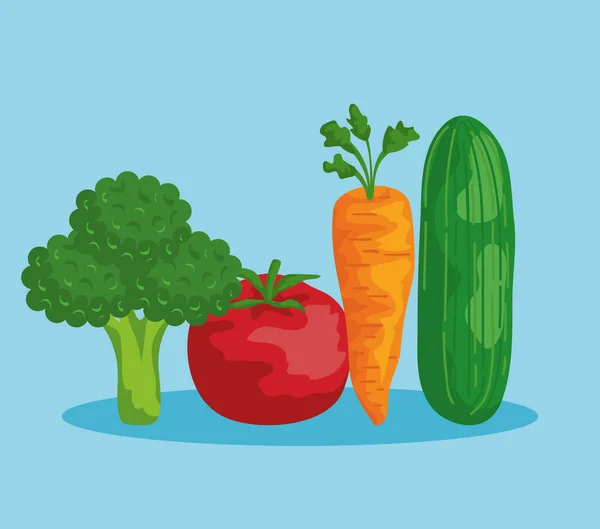 Brócolis fresco com tomate e cenoura com pepino — Vetor de Stock
