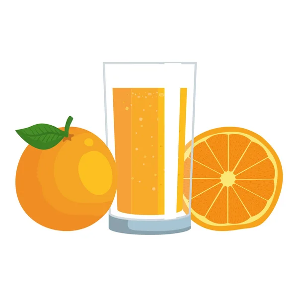 Jus d'orange agrumes avec verre — Image vectorielle