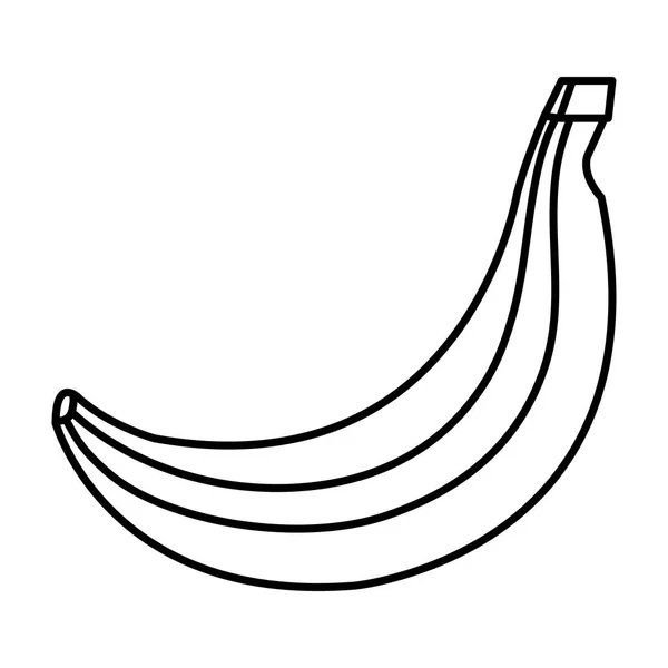 Бананові свіжі фрукти здорова їжа — стоковий вектор