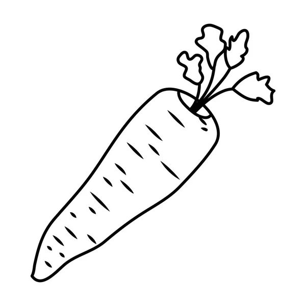 Carotte légume frais icône saine — Image vectorielle