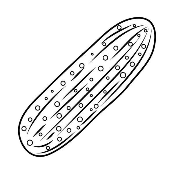 Pepino vegetal fresco icono saludable — Archivo Imágenes Vectoriales