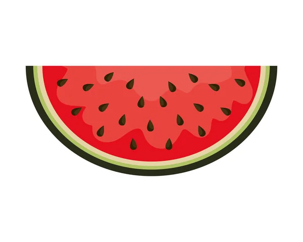 Fresh watermelon fruit healthy food — Stock Vector