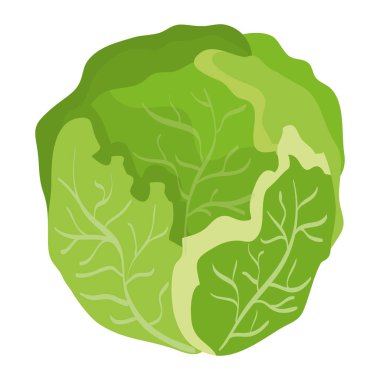 taze lahana sebze sağlıklı simgesi