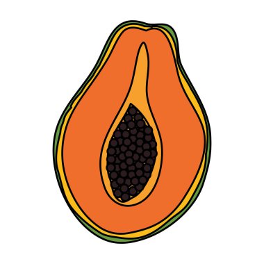 taze papaya meyve sağlıklı gıda