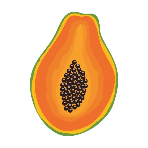 Fresh papaya fruit healthy food — Stock Vector