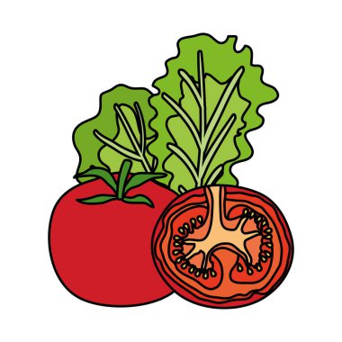 taze domates ve marul sebze sağlıklı