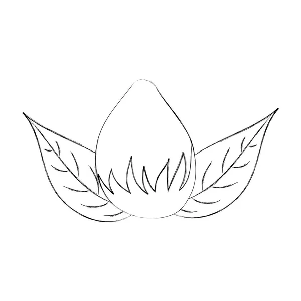 Цветочная луковица природы листья икона украшения листвы — стоковый вектор