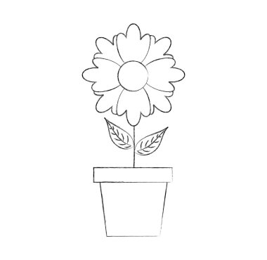 saksı çiçek doğal ampul büyüme bitki dekorasyon