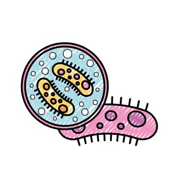 viroloji mikrop bakteri petri çanak bilim