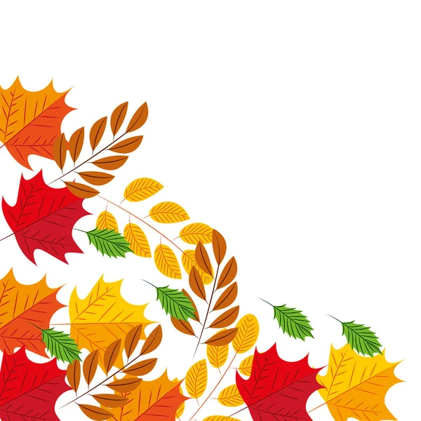 Осенние листья листвы — стоковый вектор