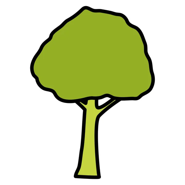 Baum Waldpflanze auf weißem Hintergrund — Stockvektor