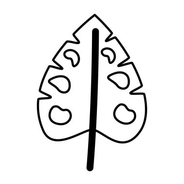 Beyaz arka planda Monstera yaprak tropikal