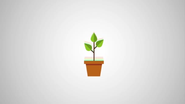 Plant in pot with graph arrow for growth rising business icons — Stock Video