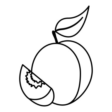 tropikal meyve tasarım