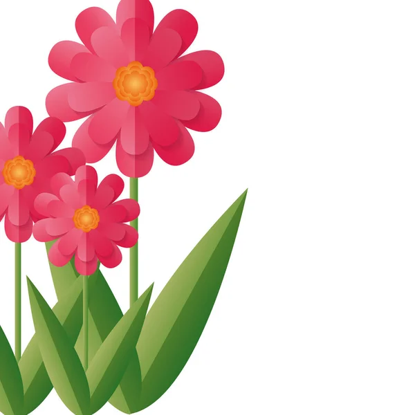 Flores tallo hojas — Vector de stock