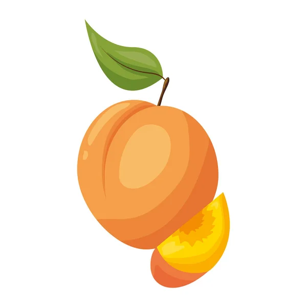 Diseño de frutas tropicales — Vector de stock