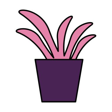 saksı bitkisi dekorasyonu