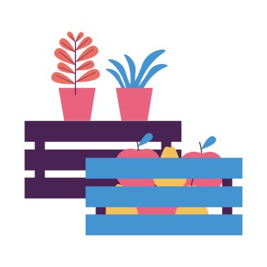 tropikal meyveler ve saksı bitkileri