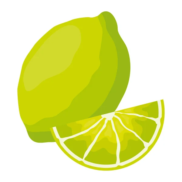 Diseño de frutas tropicales — Vector de stock