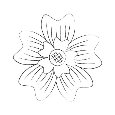 periwinkle çiçek süsleme doğa bitki