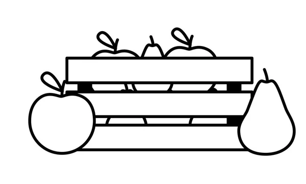 Disegno frutti tropicali — Vettoriale Stock