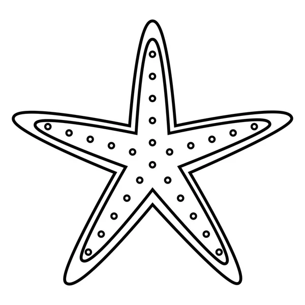Starfish wildlife on white background — Stock Vector