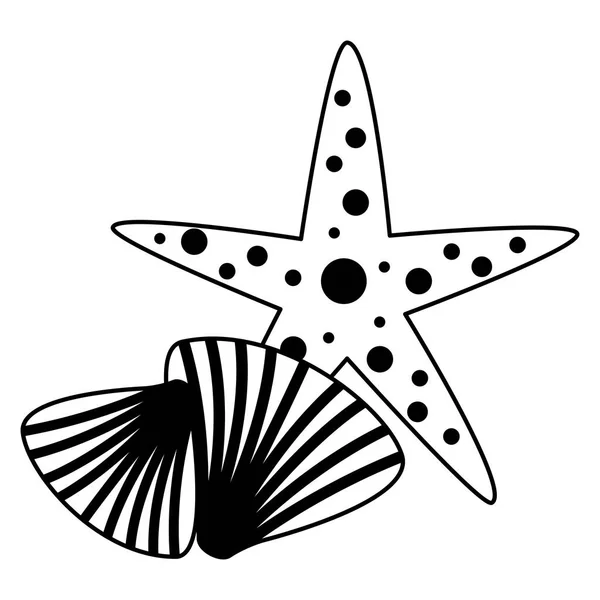 Beyaz arka plan üzerinde denizyıldızı Seashell yaban hayatı — Stok Vektör