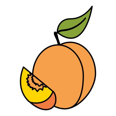 tropikal meyve tasarım