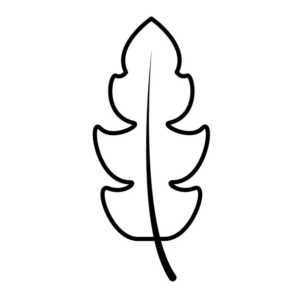 叶子植物叶子图标轮廓 — 图库矢量图片