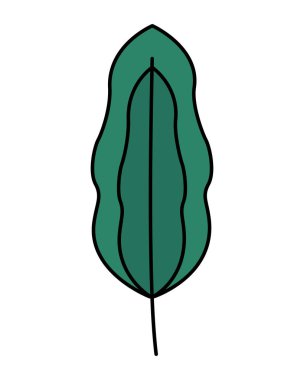 Doğal Botanik yaprak yeşillik