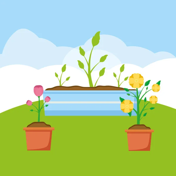 Plants decoration gardening flat design — Stock Vector