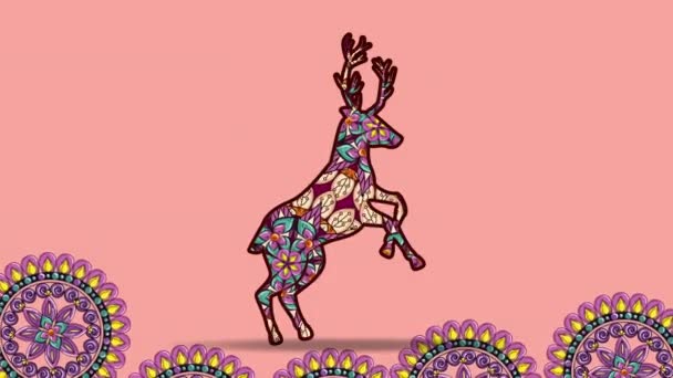 Reindeer with ethnic mandalas boho style — Stock Video