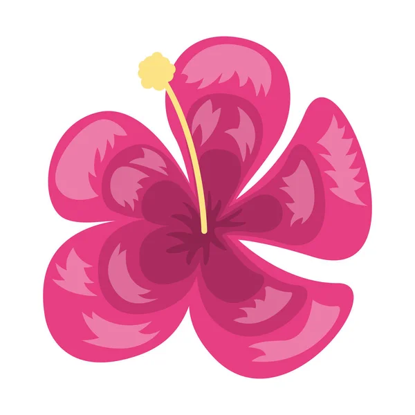 Icono de decoración de flores exóticas tropicales — Vector de stock