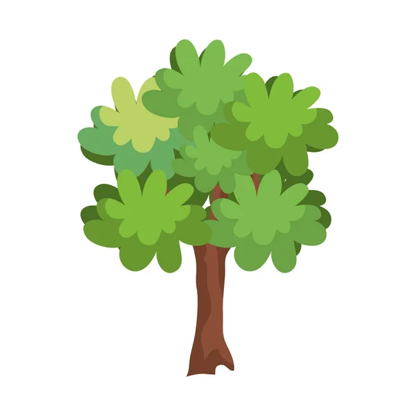 Albero pianta natura isolato icona — Vettoriale Stock