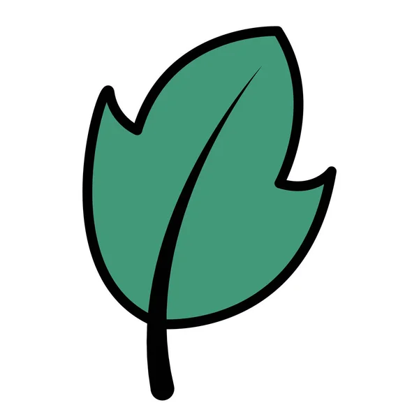 Ikona botanika liści zielony — Wektor stockowy