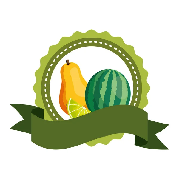 Tropische vruchten ontwerp — Stockvector